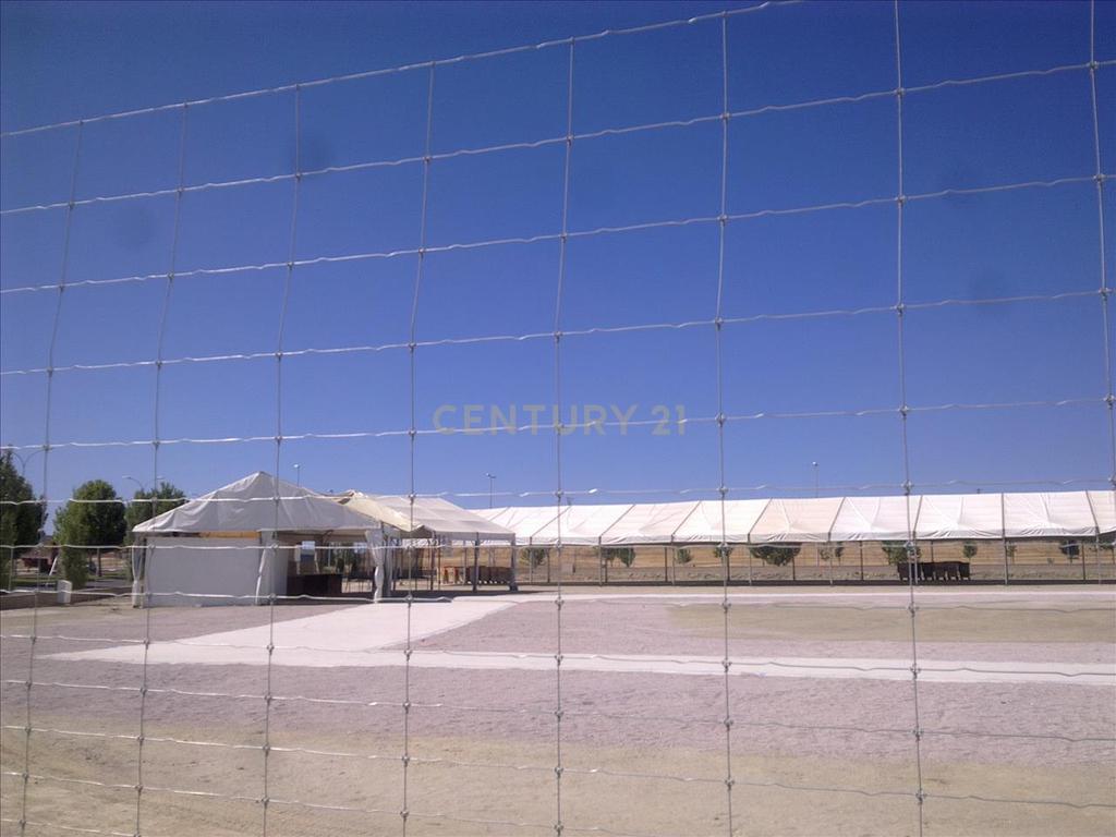 Terreno - Image 4