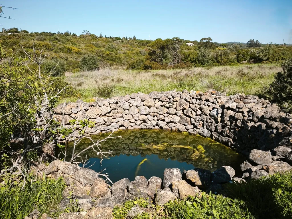 Terreno Misto com Ruína na Pedragosa – Oportunidade Única no Algarve - Image 11