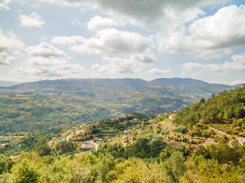 Terreno Rústico com vista para o Rio Douro - Image 4