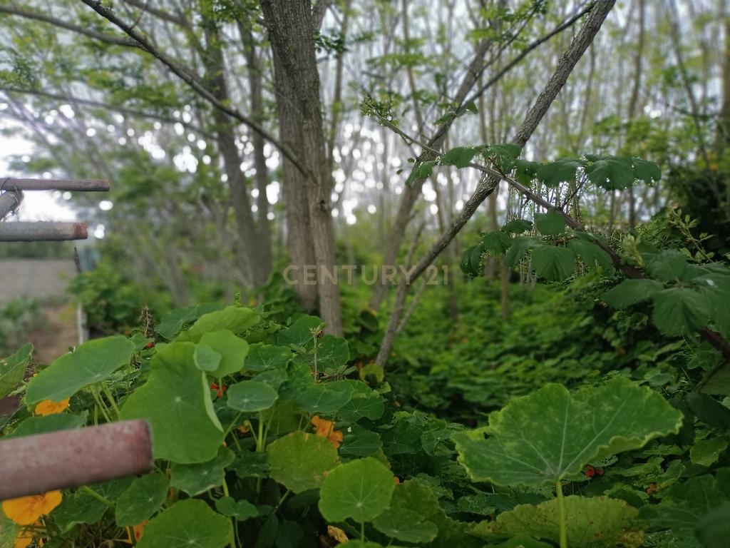 Terreno para construção em Guamasa - Image 19