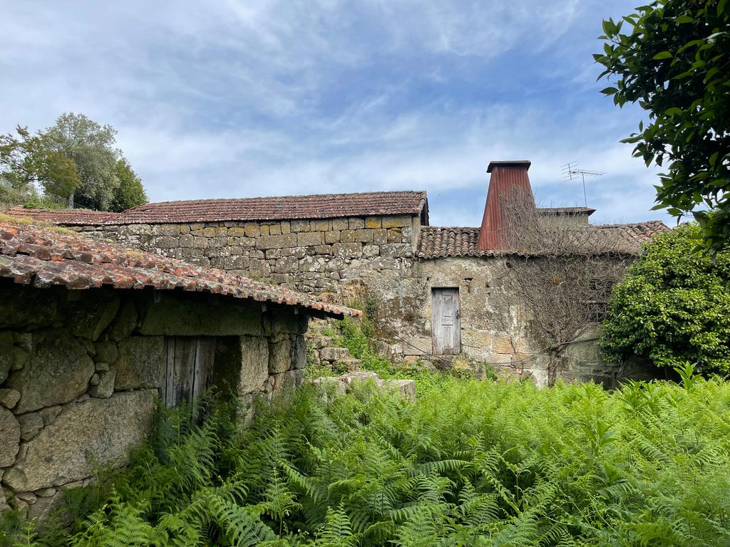 Propriedade com 1,8 hectares de área urbana e 3,2 hectares de solo fértil e floresta, composta por 8 edifícios independentes totalizando 700 m² de área construída, localizada no centro de Serrazes, São Pedro do Sul. - Image 38