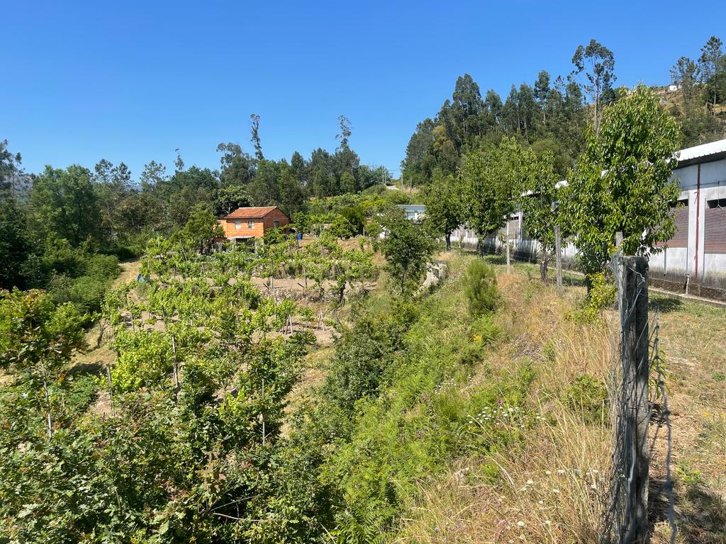 Terreno de 7.500 m² situado próximo ao lago, contendo uma casa a ser restaurada e um aviário automatizado altamente rentável. - Image 3