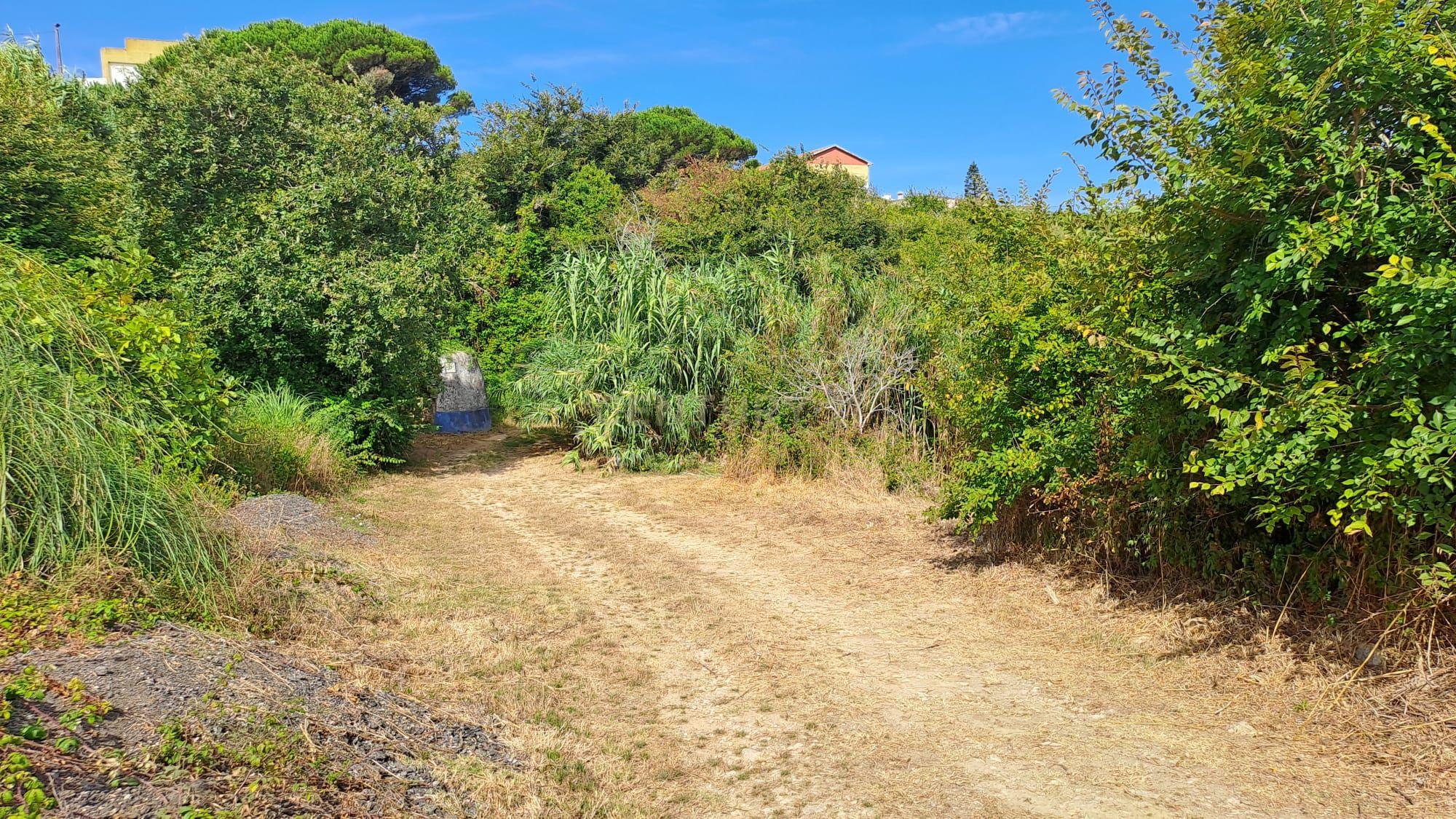 Fotografia 11 de Terreno Agrícola - São João das Lampas