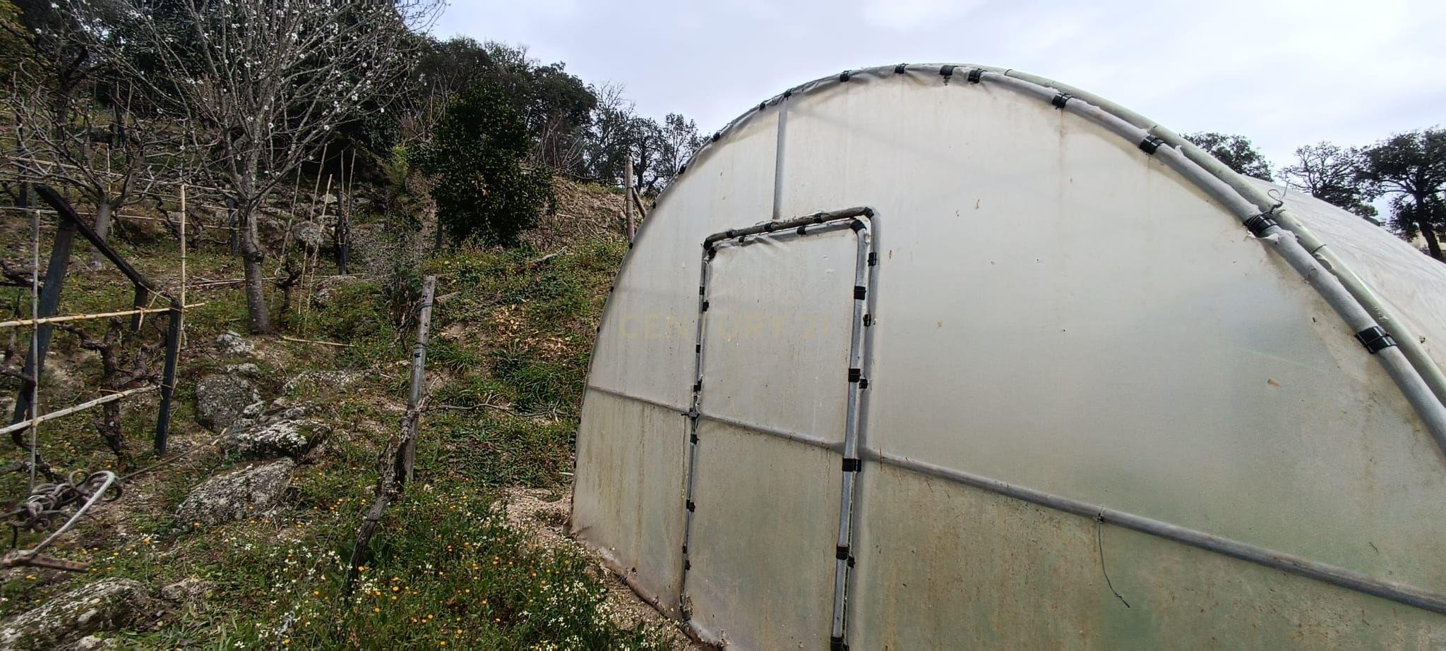 Terreno agrícola com àgua e viabilidade de construção em Granja, S. Tomé de Covelas, Baião, perto do do rio Douro, Porto - Image 6