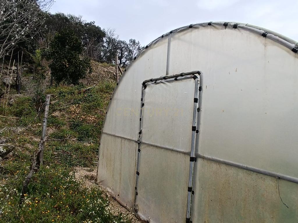 Casa com terreno de construção e agrícola perto do rio Douro em Granja, S. Tomé de Covelas, Baião, Porto - Image 24