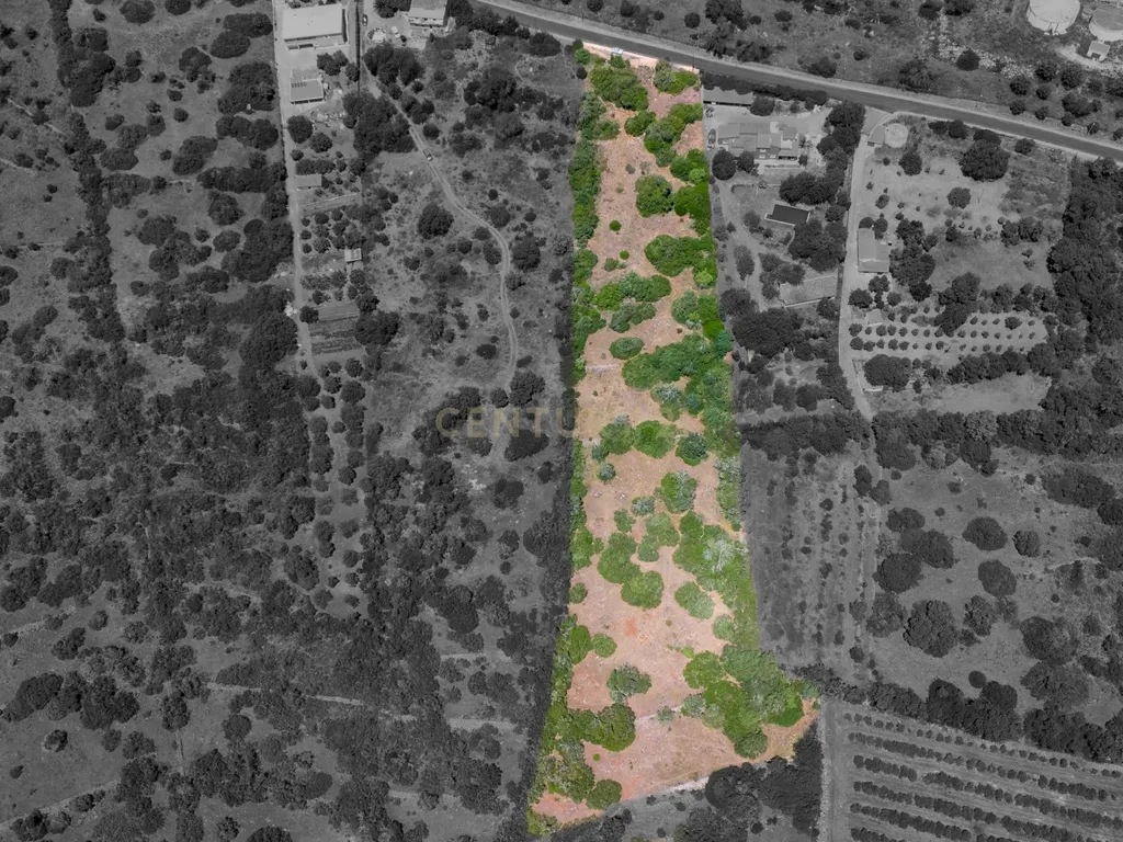 Terreno a um passo da Vila de São Bartolomeu de Messines - Image 1