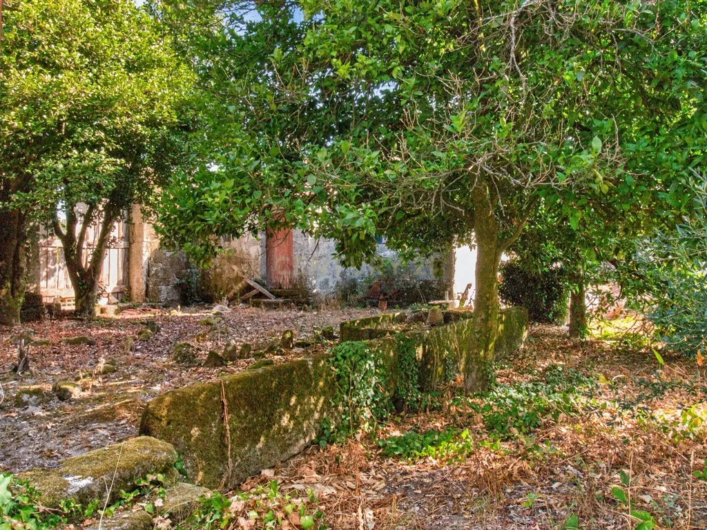 Quinta de Verim – 22.000 m² de história, natureza e potencial - Image 40