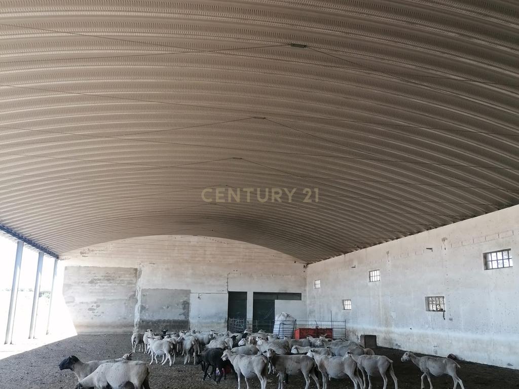 Beja, 2040,150 m2 de Armazéns Diversos instalados em 7190,690 m2 de terrenos Urbanos e ainda 2,5 hectares de terrenos Rústicos - Image 2