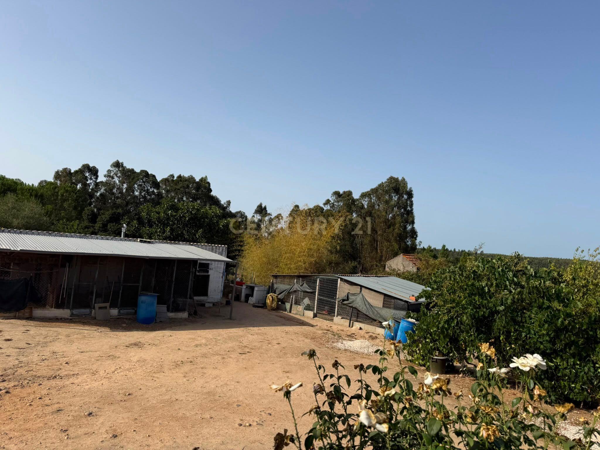 Fotografia 9 de Moradia t2 com 10.280 M² DE TERRENO E UM RIACHO