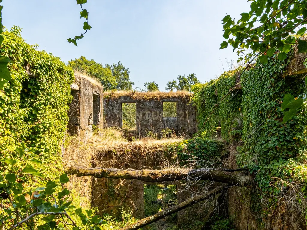 Quinta para reconstrução , em Anais, em Ponte de Lima – a vila mais antiga de Portugal. - Image 27
