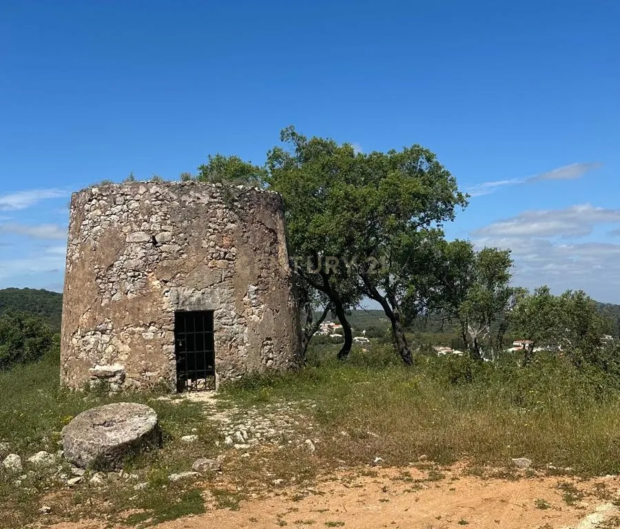 Ruina Moinho - Image 4