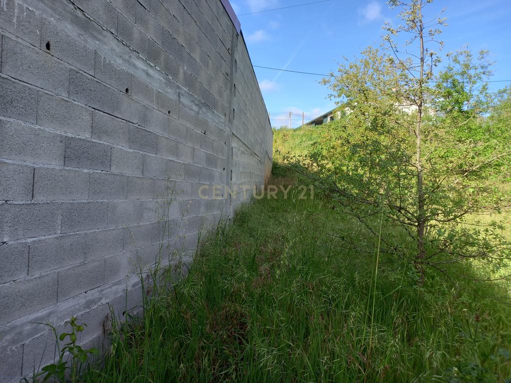 Terreno com 800 m2 em Barbas Novas - Image 14