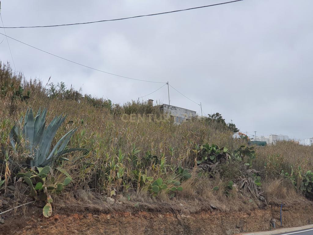 undefined - Image 7
