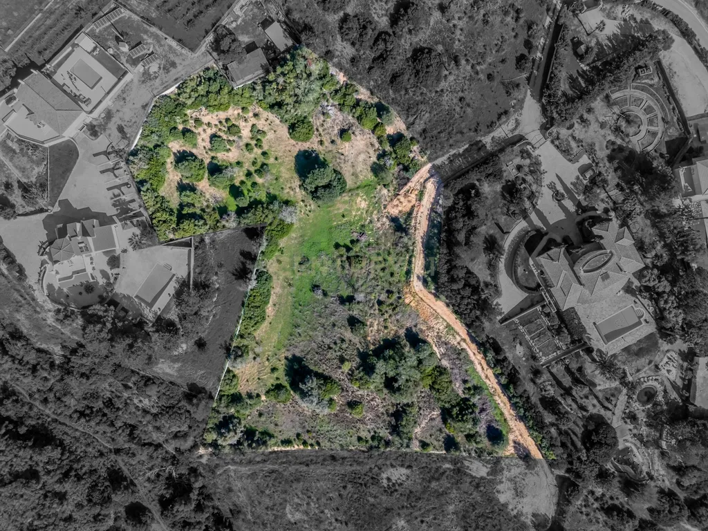 Terreno para agricultura em Vale D'el Rei - Image 2