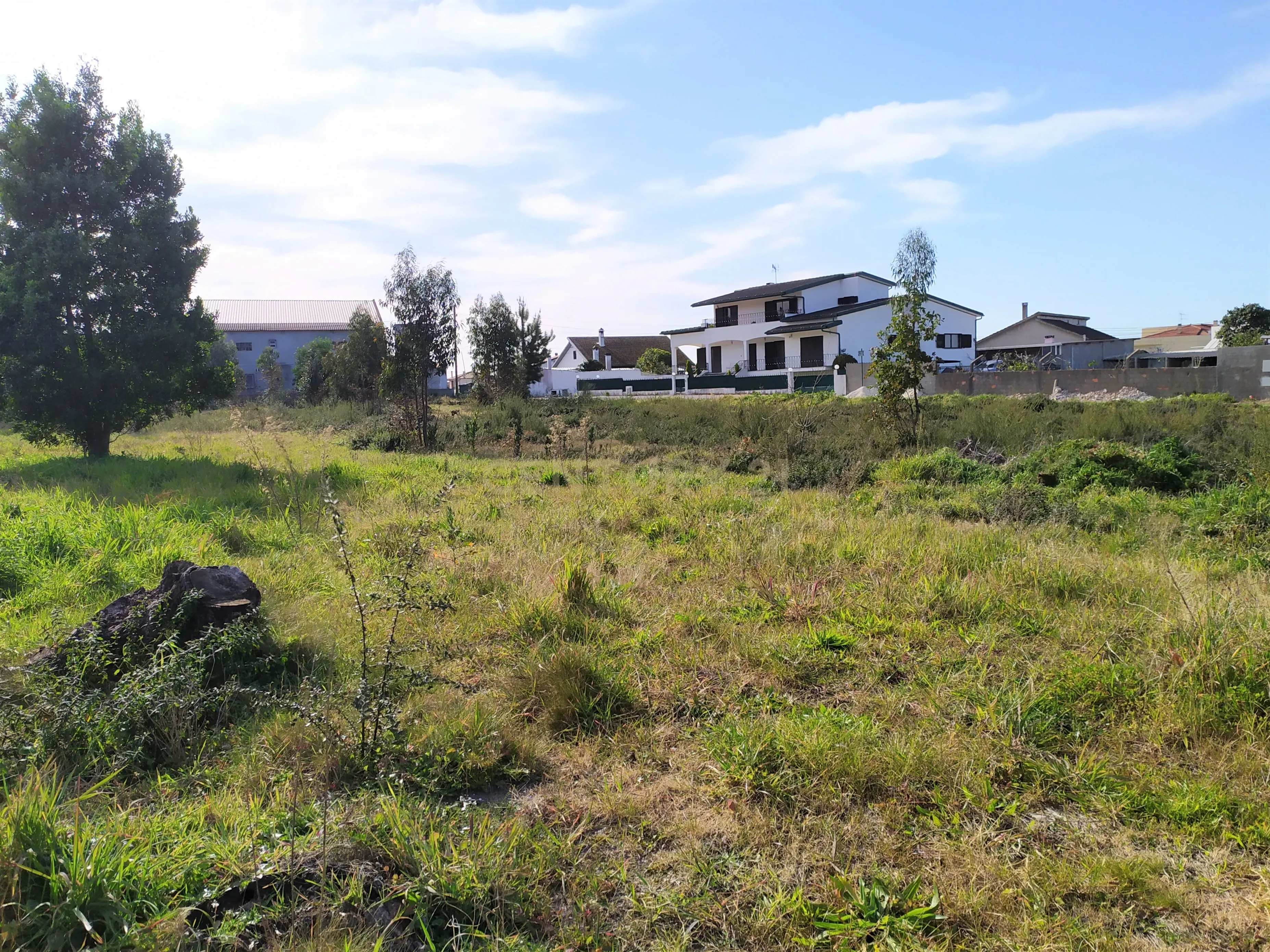 Terreno | Viabilidade Construção| Marinha Grande - Image 8
