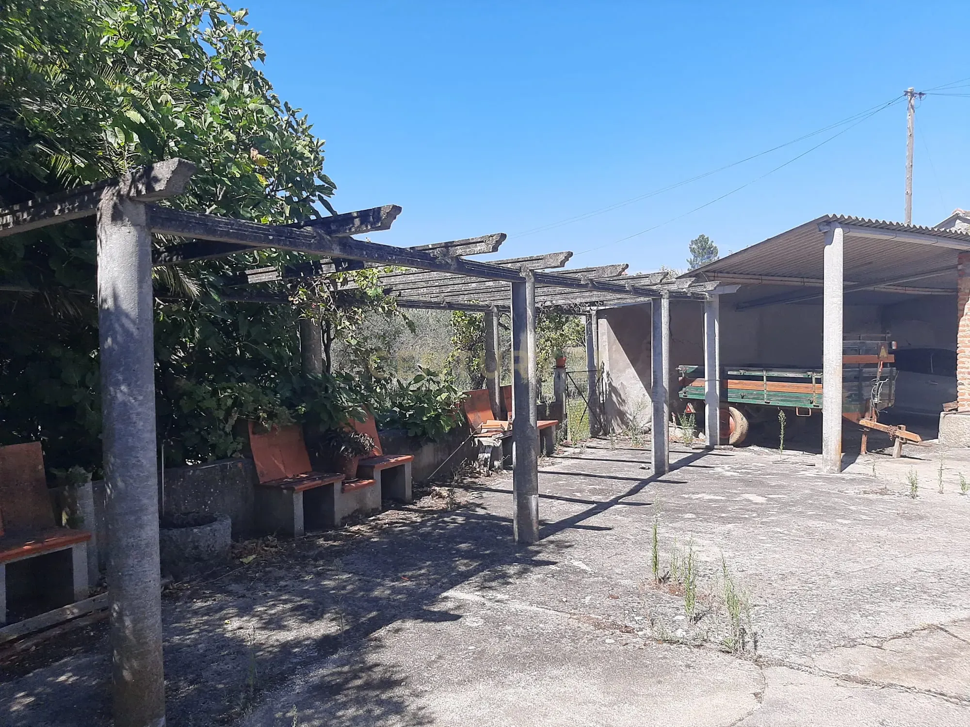 Quintinha com moradia de 10 assoalhadas e anexos, lote de 19.060m2, Mouriscas, Abrantes - Image 11