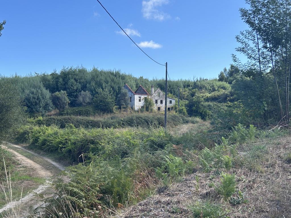 Quinta com Ruína - Oportunidade de Negócio - Image 12