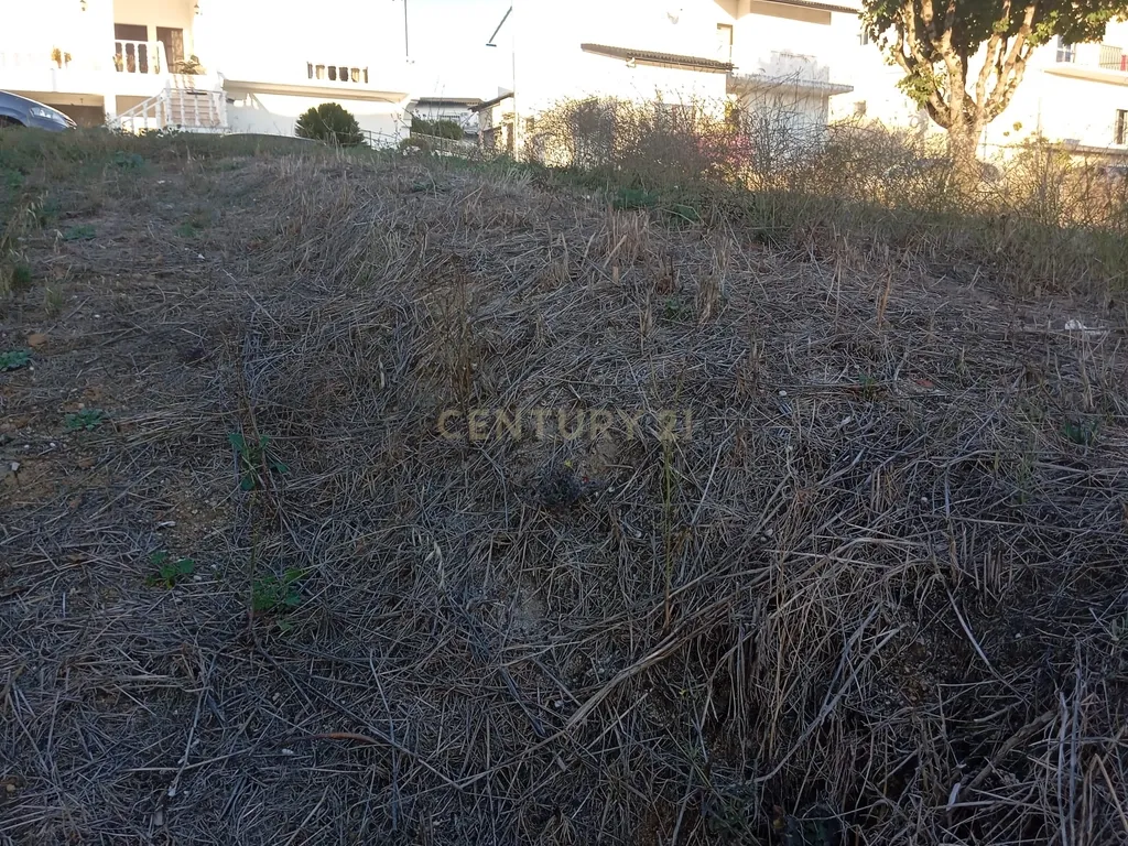 EXCELENTE LOTE DE TERRENO ENCOSTA DO SOL SOURE - Image 7