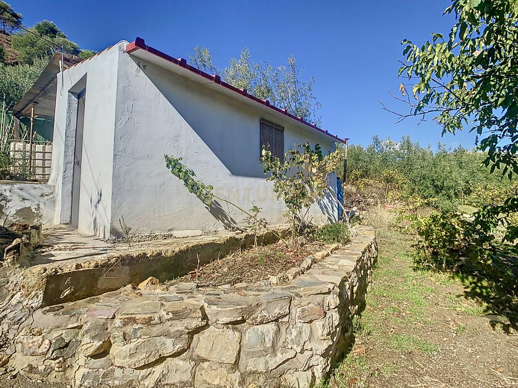 undefined - Image 19