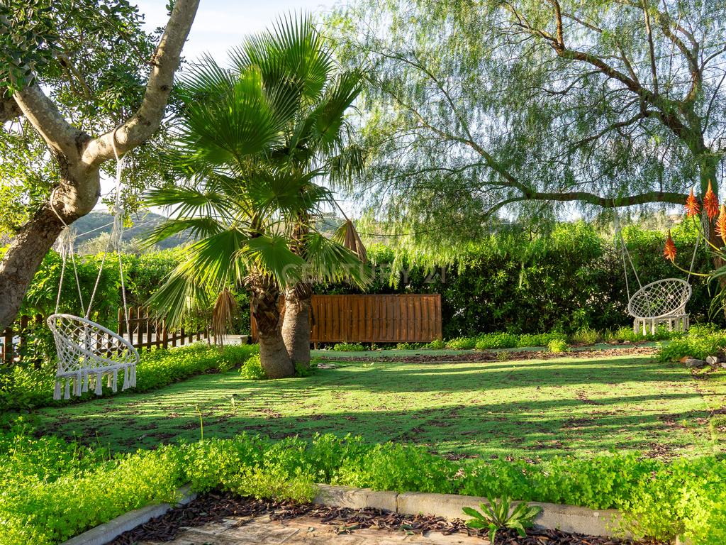 Quinta dos Netos em Santa Catarina da Fonte do Bispo - Image 16