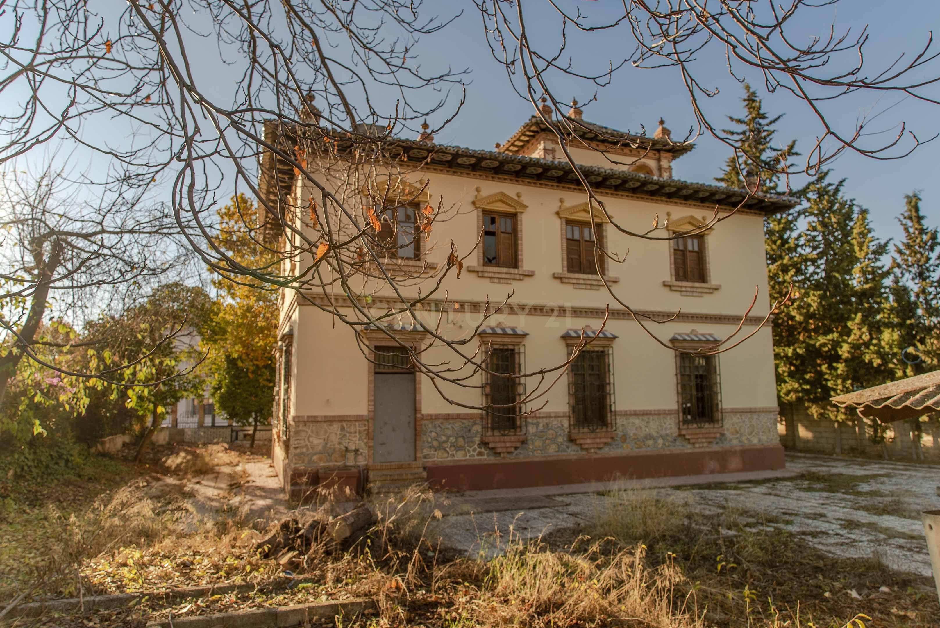 undefined - Image 8