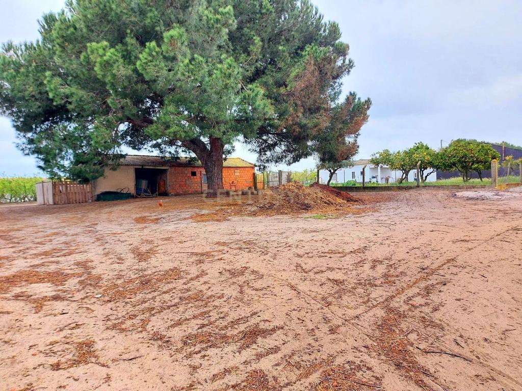 Herdade em Palmela T2 + 2 - T1 - Quinta Nova - Image 6