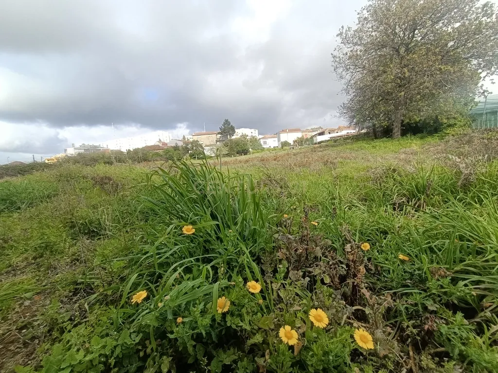 Terreno para construção - Image 6