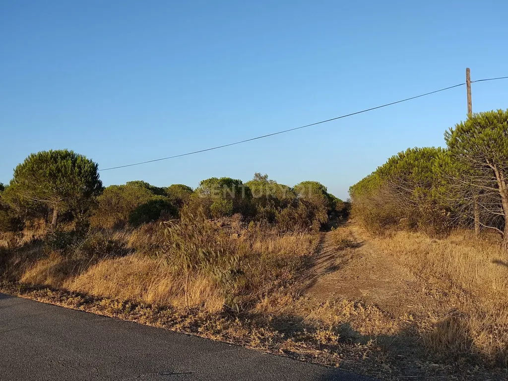 Terreno de 23 Hectares, junto à Barragem da Bravura. - Image 4
