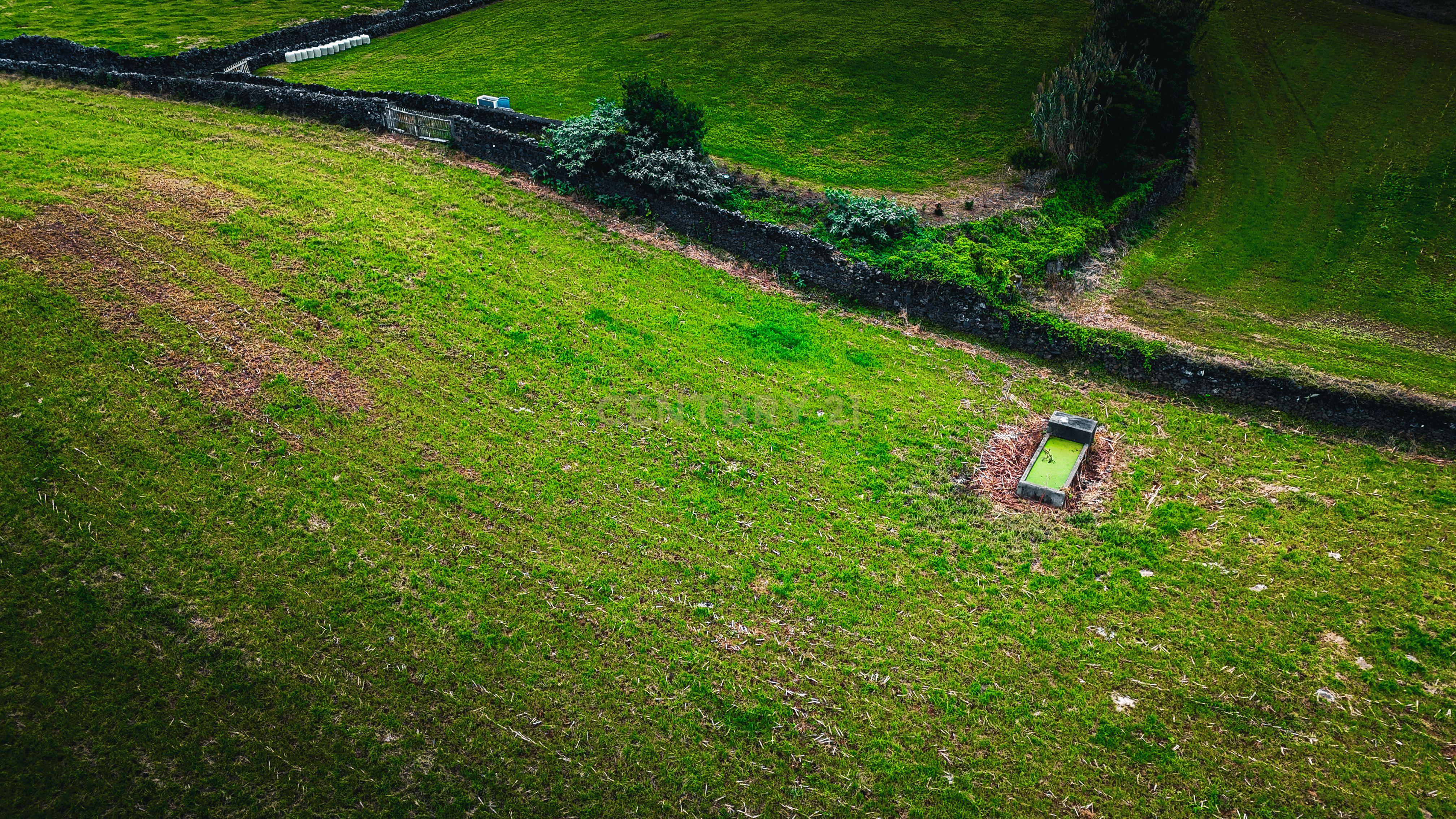 Fotografia 7 de Terreno com Potencial de Construção – Pico do Fogo de Cima, Livramento