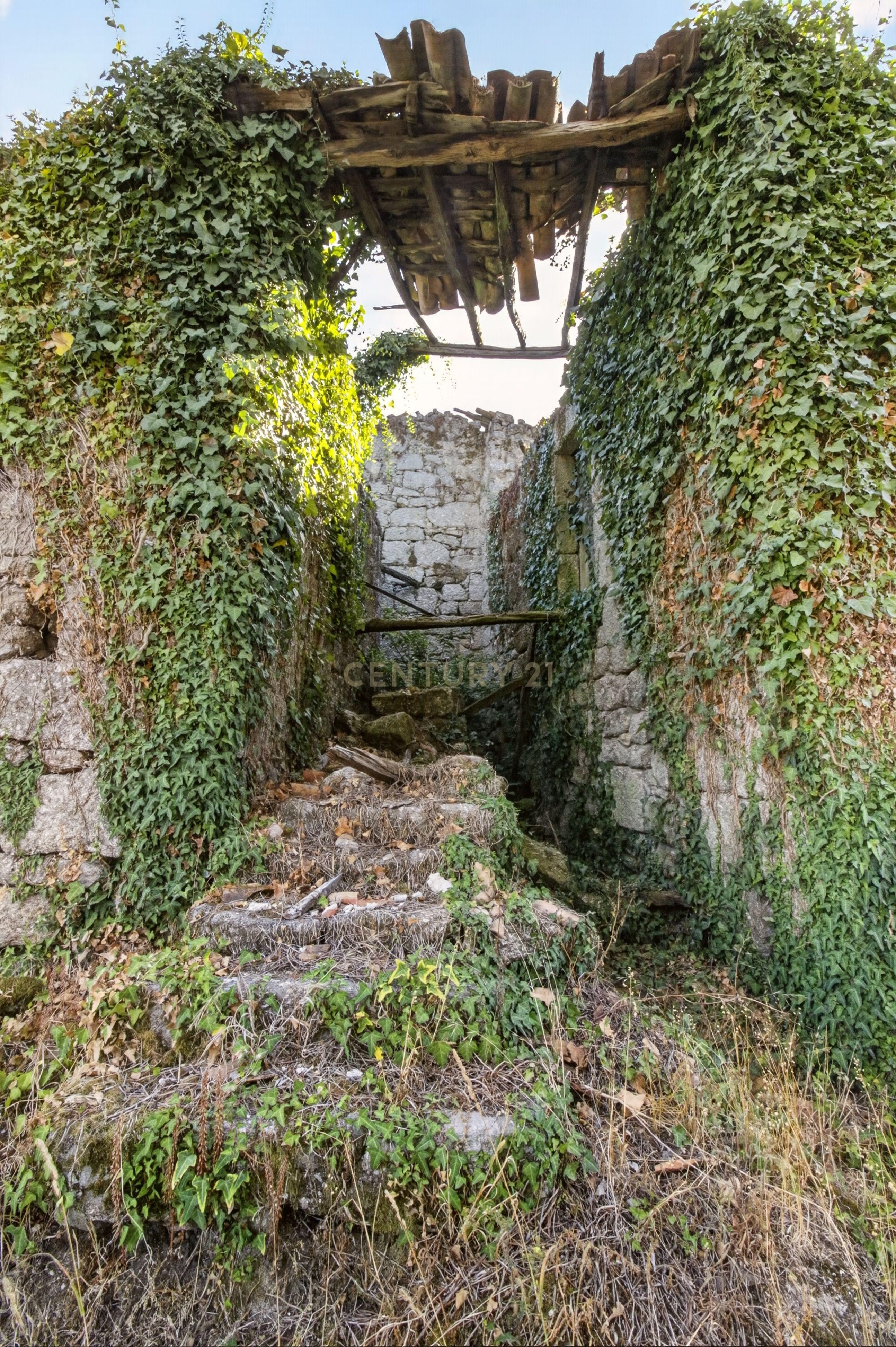 Fotografia 3 de Quinta de Verim – 22.000 m² de história, natureza e potencial