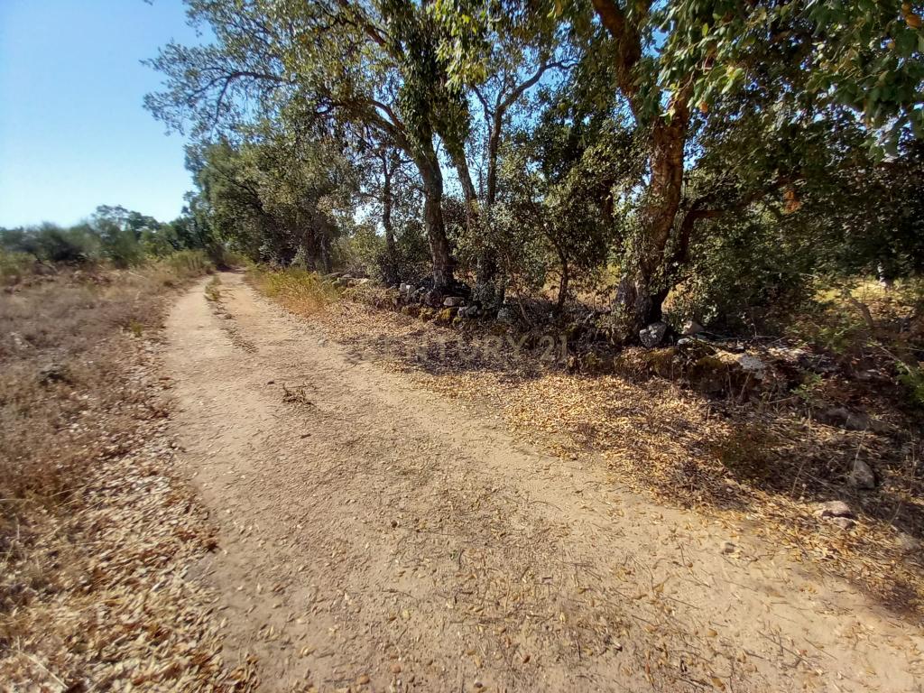Terreno com 2180m2 , São Vicente da Beira, Castelo Branco - Image 7