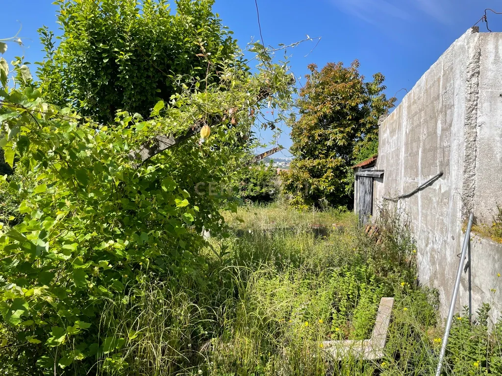 Propriedade junto ao Freixo - Image 24