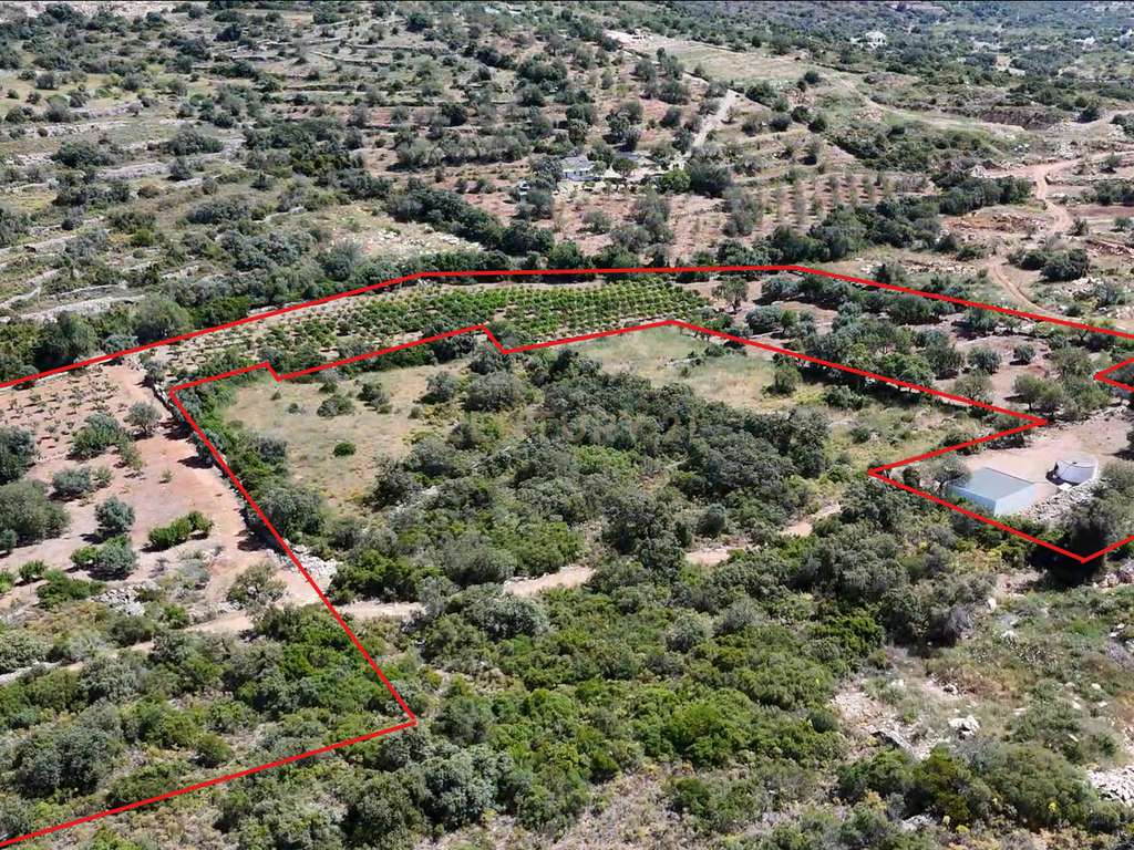 230.000€ Conjunto de 3 terrenos rústicos - Barranco de S. Miguel - Image 1