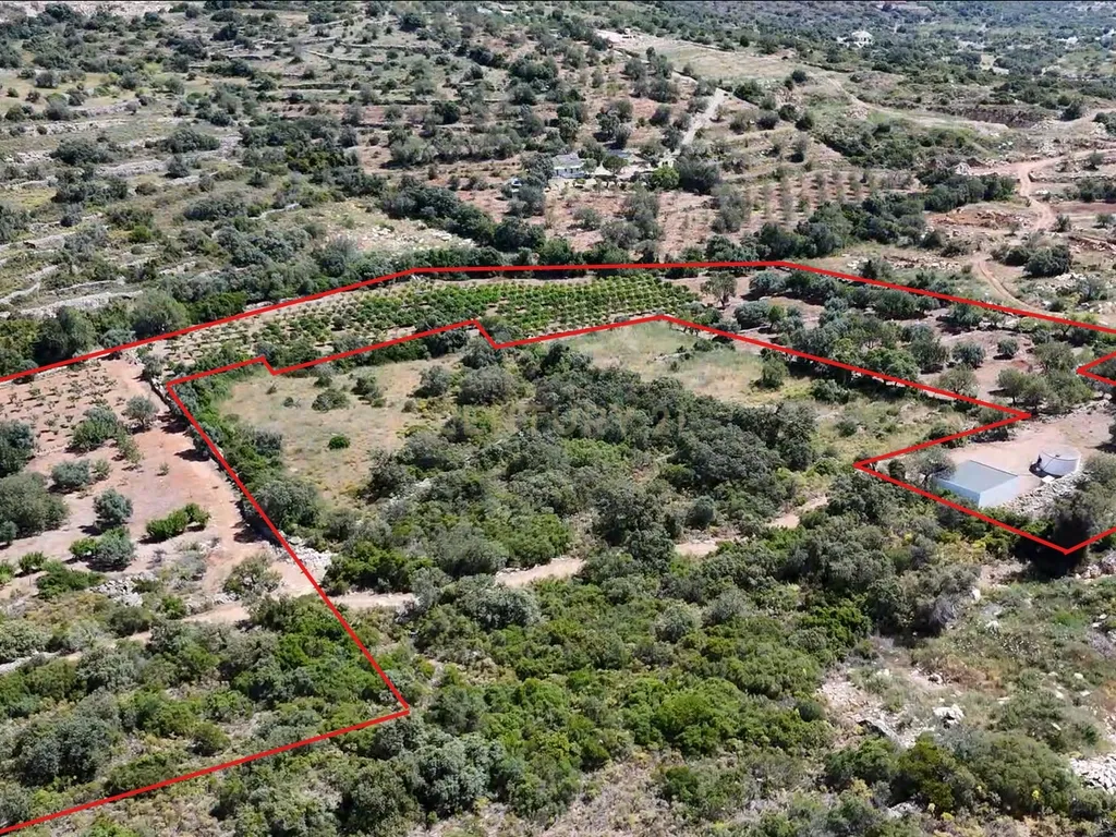 230.000€ Conjunto de 3 terrenos rústicos - Barranco de S. Miguel - Image 1