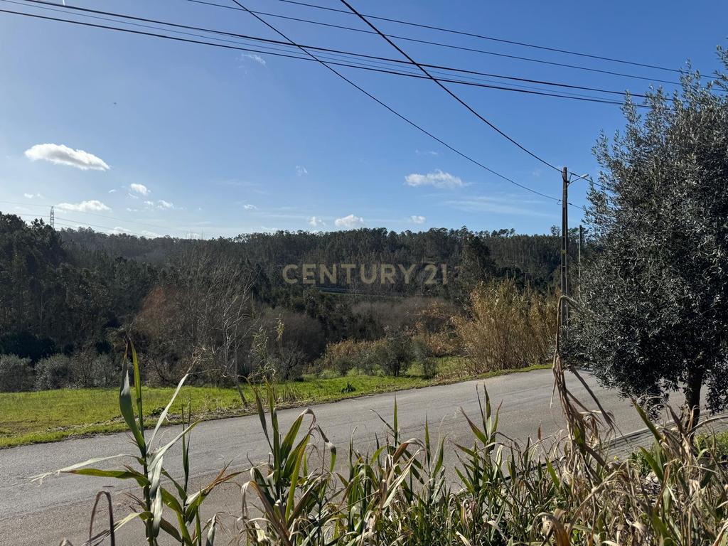 Terreno Panorâmico em Pombal - 1020m² por 34.500€ - Image 4