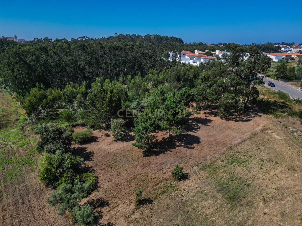 Terreno para investimento em Lavos, Figueira da Foz apenas a 5km da praia - Image 9