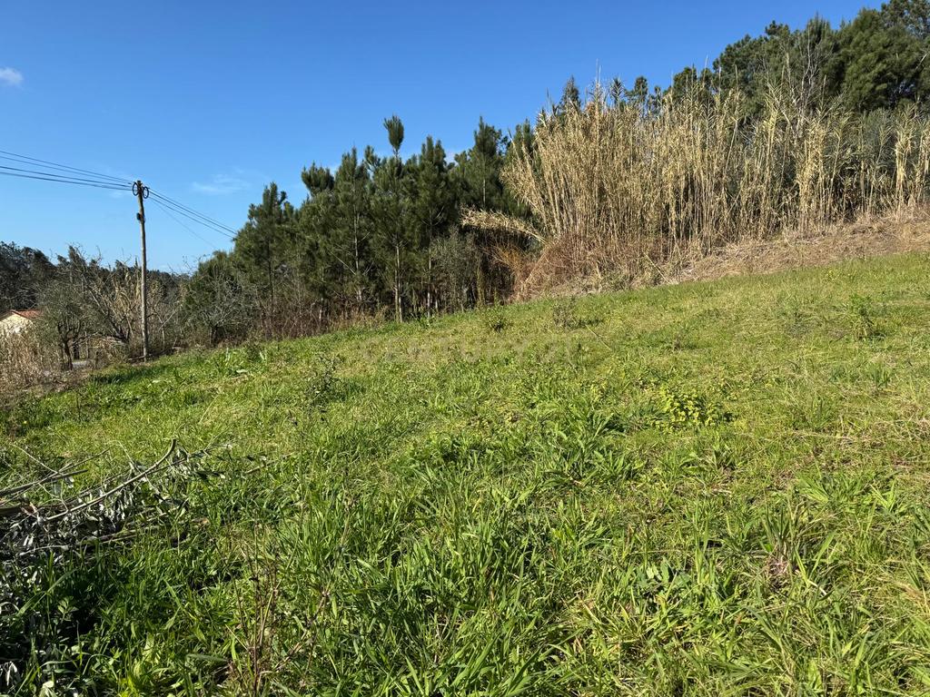 Terreno Panorâmico em Pombal - 1020m² por 34.500€ - Image 17