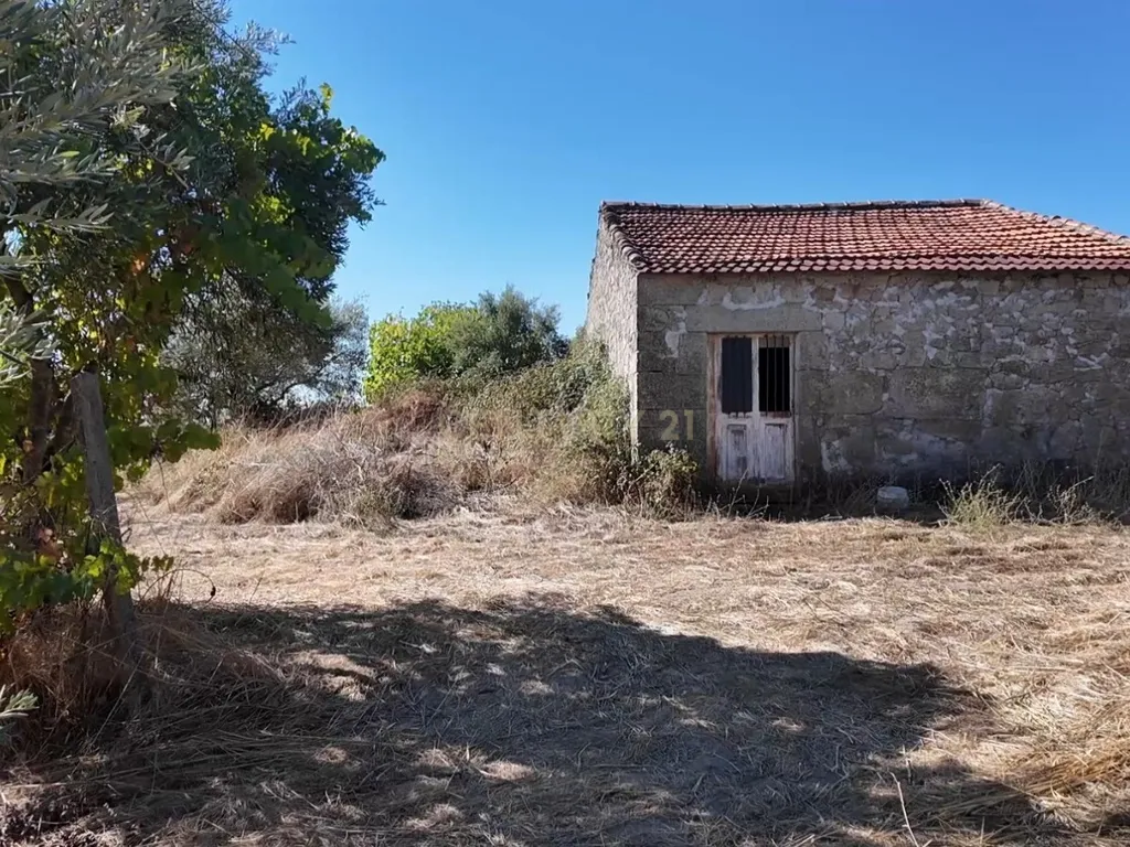 Oportunidade de negócio! Terreno rústico 2,7ha Alcains, Castelo Branco - Image 2