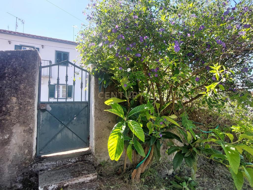 Terreno em Alcafozes, Idanha a Nova com Vista e Árvores de Fruto - Image 8