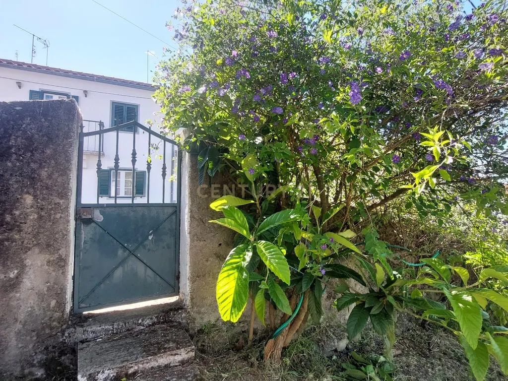 Terreno em Alcafozes, Idanha a Nova com Vista e Árvores de Fruto - Image 8