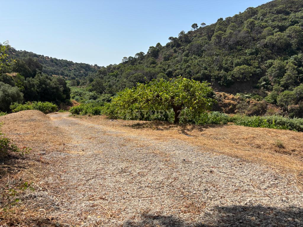 verbatimFazenda ecológica com limões durante todo o ano - Nas margens do rio Padrón - Estepona - Image 19