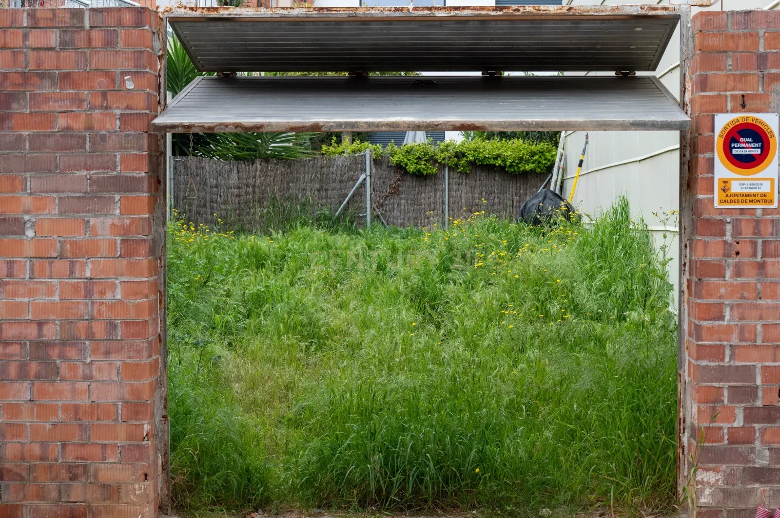 - Image 3