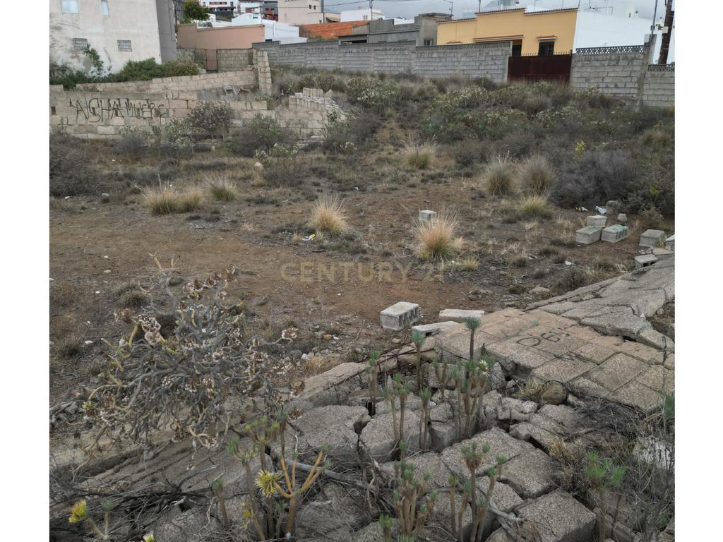- Image 11