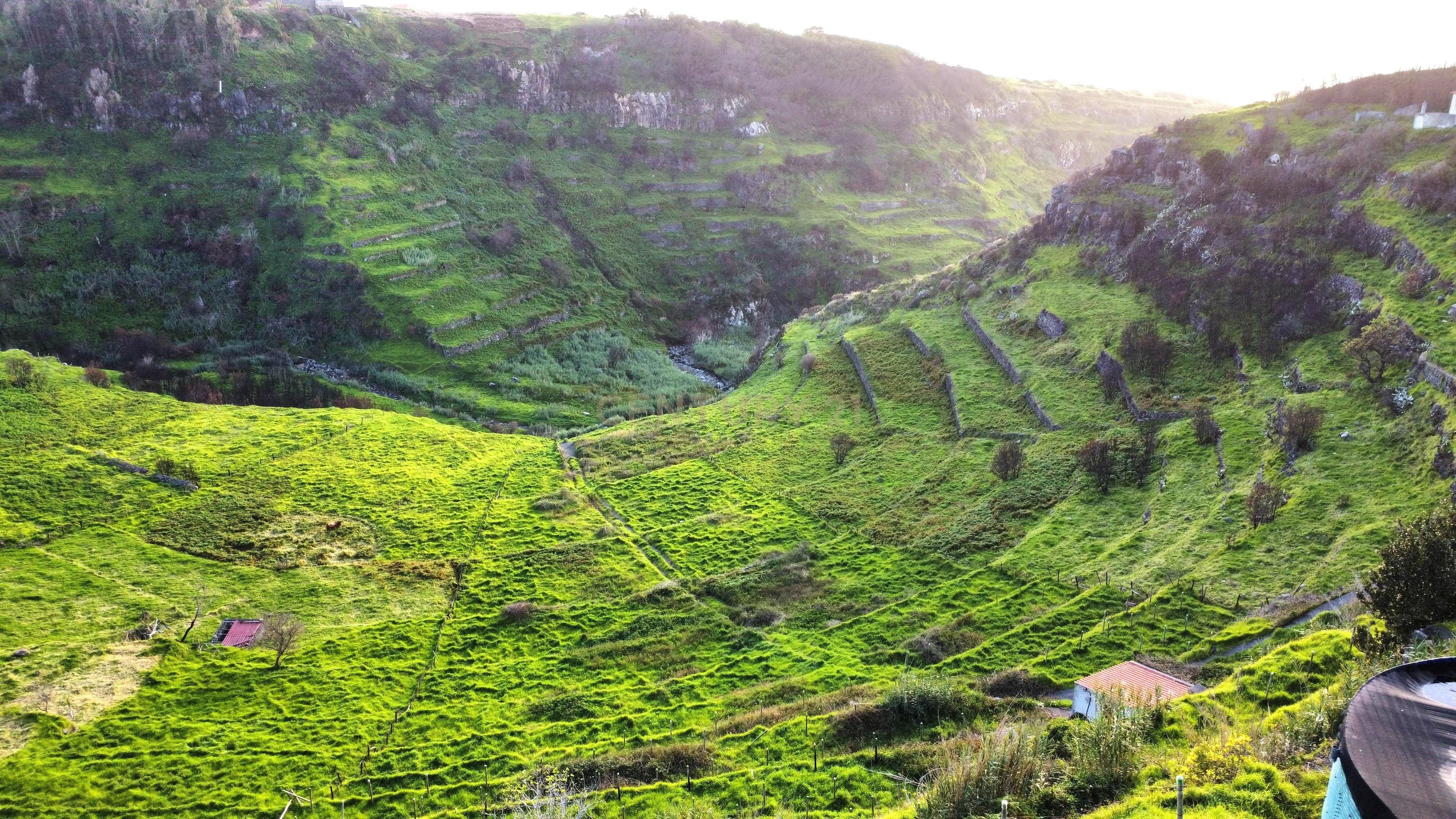 Terreno para Construção na Ponta do Pargo – 8.000 m² em Vale Privilegiado Próximo ao Novo Campo de Golfe - Image 7