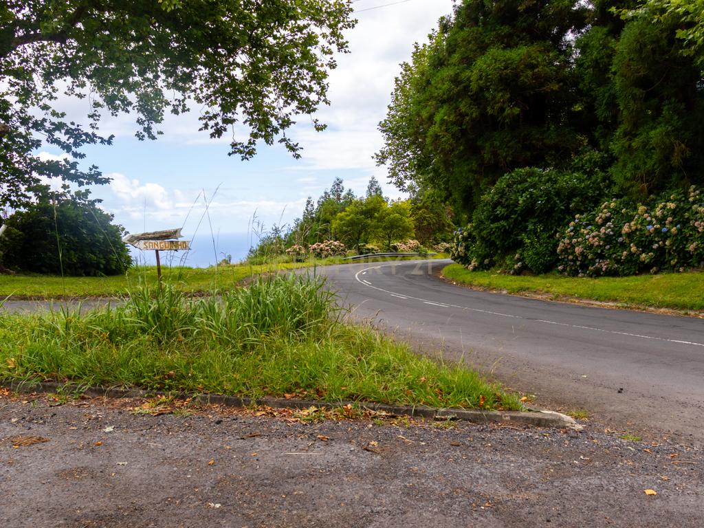 🌿 Terreno Agrícola com 21.135 m² – Faial da Terra, Povoação 🌿 - Image 5