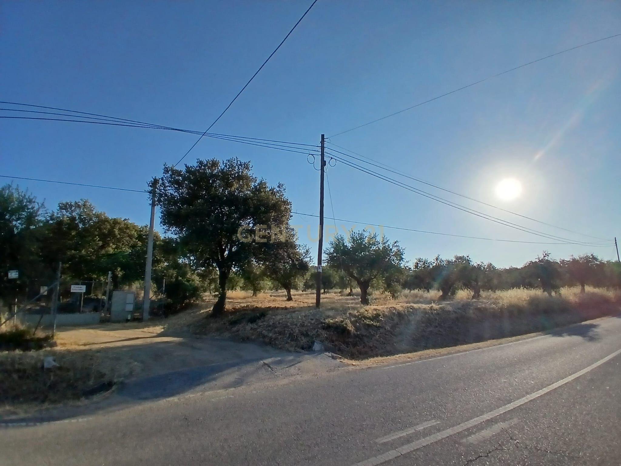 Fotografia 10 de Terreno Central em São Pedro do Corval, Vista para a Rocha dos Namorados