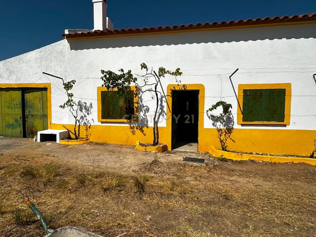 Terreno Misto de 2ha com habitação, Ladoeiro , Castelo Branco - Image 1