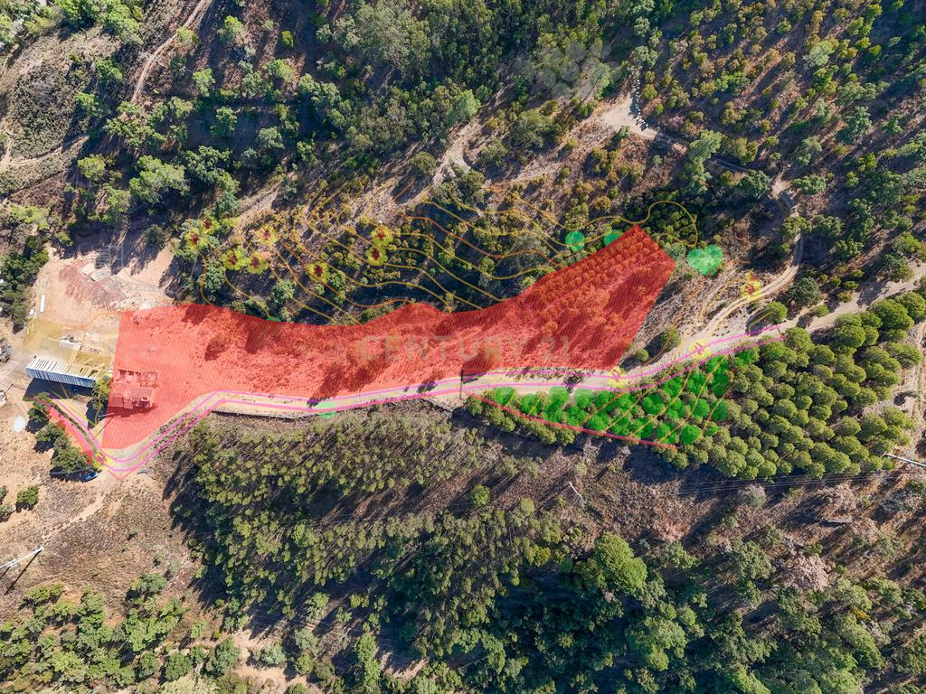 Ruína com Terreno ideal para Habitar ou Investir | São Brás de Alportel - Image 3