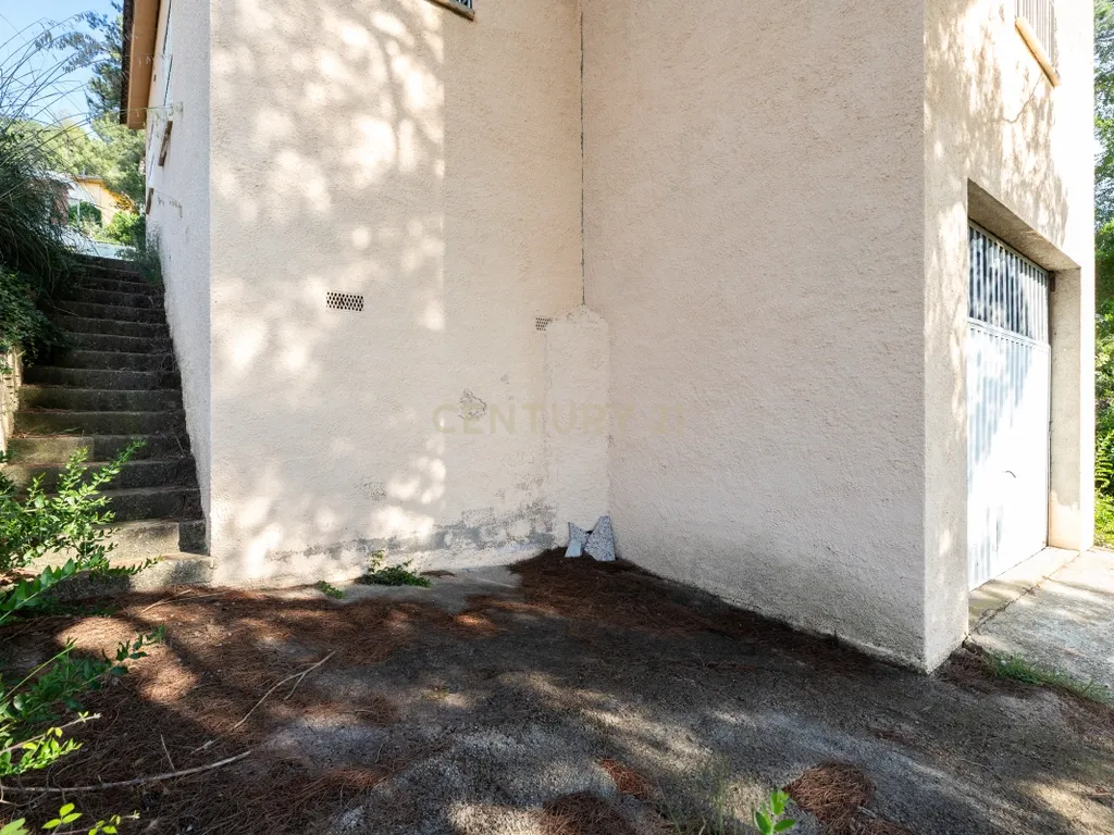 - Image 11