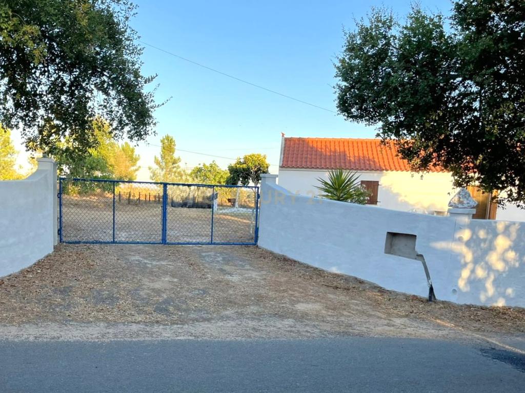 Monte/Terreno-Santiago Cacém, c/Vista Camp0 e Árvores Frutíferas - Image 11